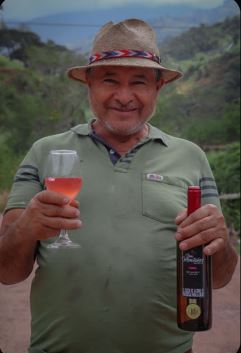 Viñedos Don Montañez